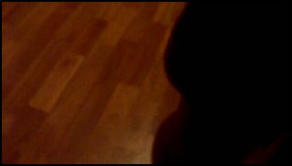 trailer0099.jpg