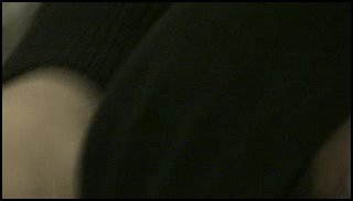 trailer03.jpg